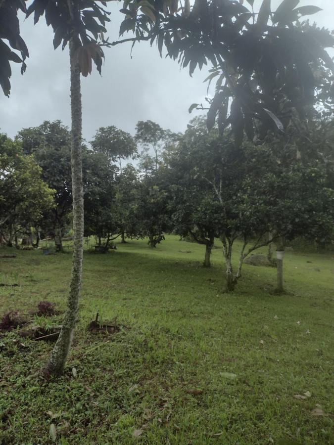 Finca Exclusividad Familiar O Grupo De Amigos Capacidad Hasta 12 Personas Calles En Placa Huella, Caminata Ecologica Alban  Εξωτερικό φωτογραφία