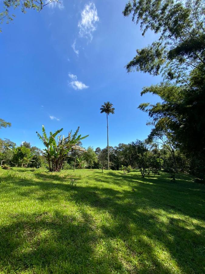 Finca Exclusividad Familiar O Grupo De Amigos Capacidad Hasta 12 Personas Calles En Placa Huella, Caminata Ecologica Alban  Εξωτερικό φωτογραφία