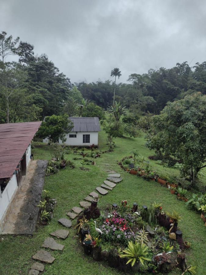 Finca Exclusividad Familiar O Grupo De Amigos Capacidad Hasta 12 Personas Calles En Placa Huella, Caminata Ecologica Alban  Εξωτερικό φωτογραφία